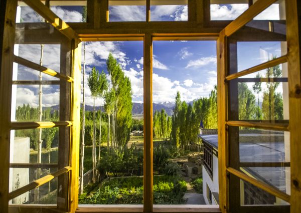 Cost of Wood Window Replacement in Brandon