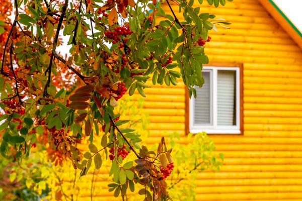 Cost of Garden Window Replacement in Brandon